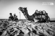 A Man, a Boy, and a Camel by Shirren Lim - Photojournalism, Black and White Photography, Award Winning Photography, Documentary Photography,  Photography Awards