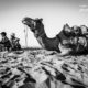 A Man, a Boy, and a Camel by Shirren Lim - Photojournalism, Black and White Photography, Award Winning Photography, Documentary Photography,  Photography Awards