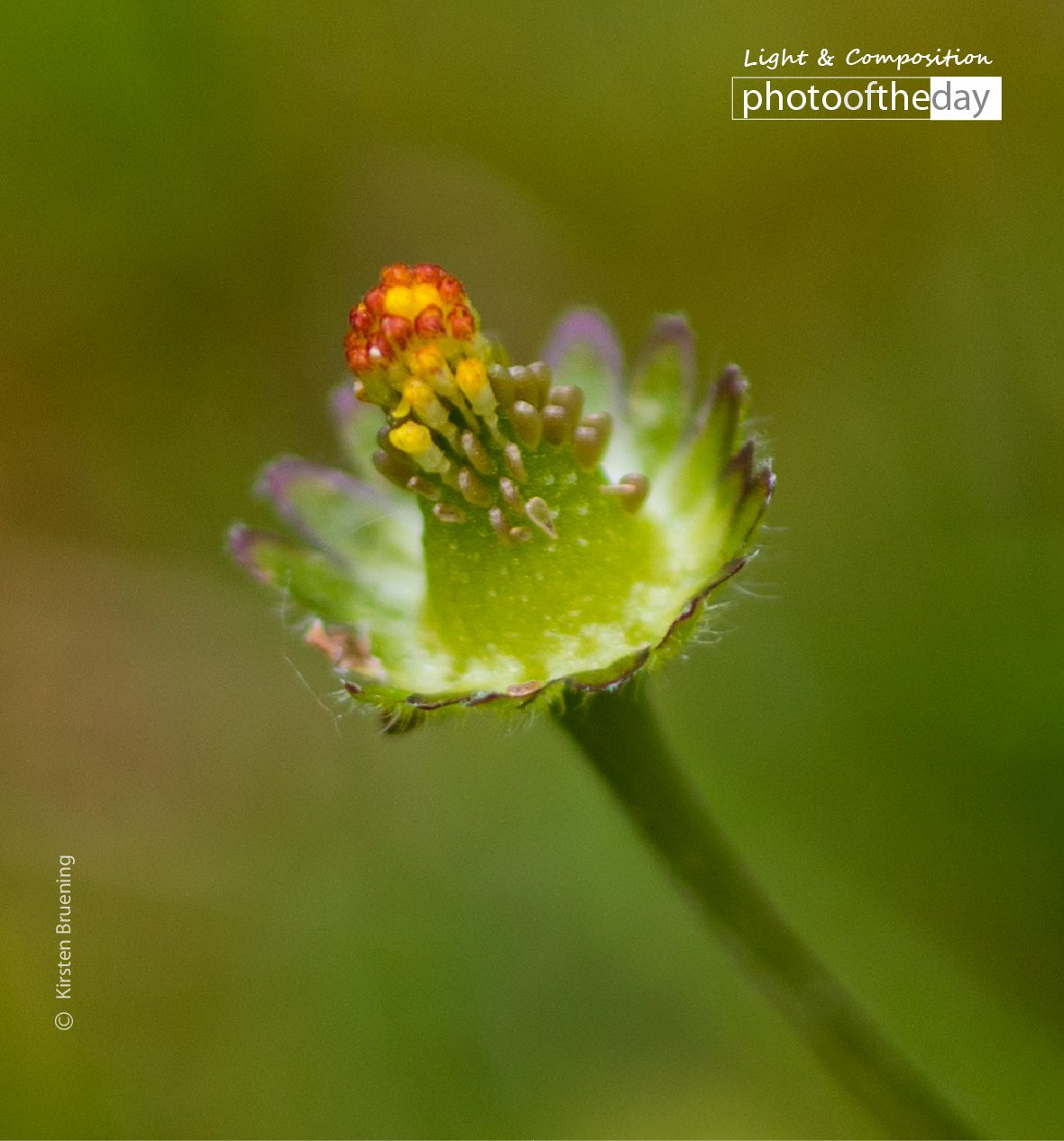 Photo of the day 14072019 1n