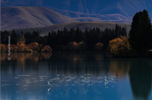 It's a Race to the Finish Line by Farhat Memon - Landscape Photography, Photography Awards, Photo of the Day, Online Photography Courses, Art Photography