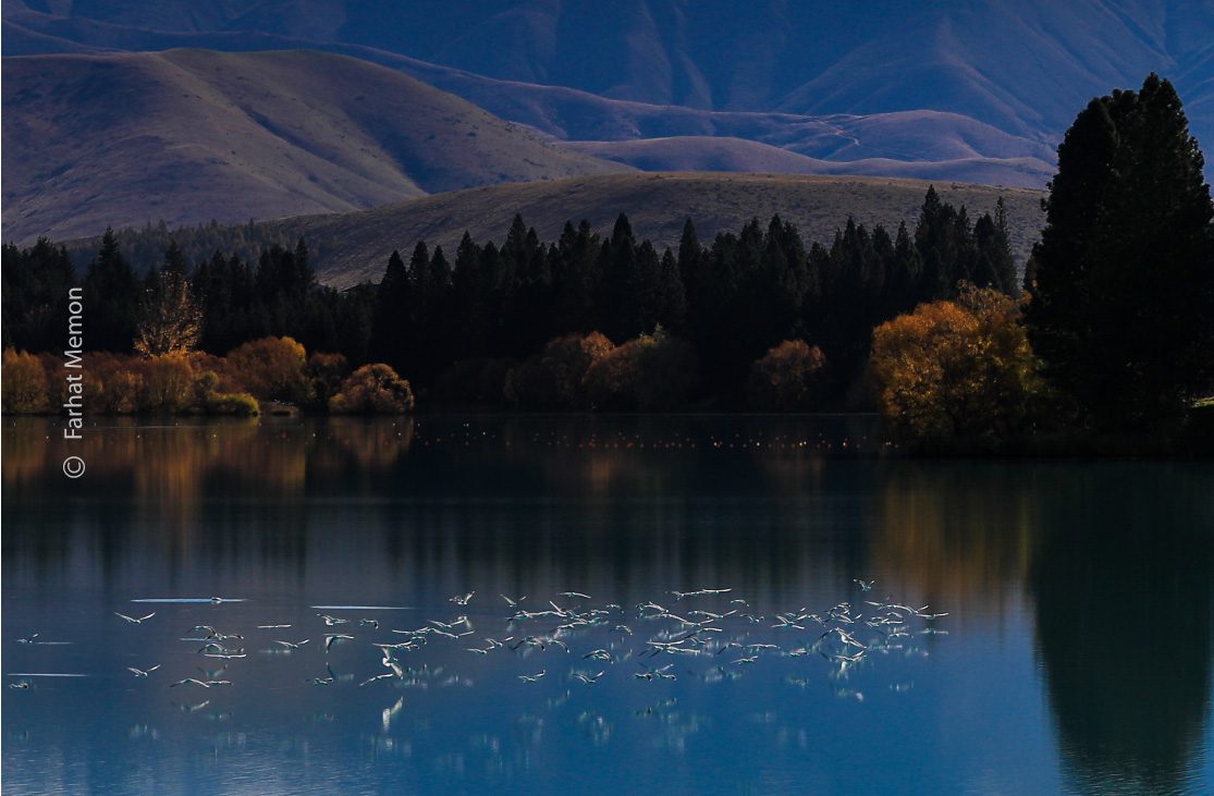 It's a Race to the Finish Line by Farhat Memon - Landscape Photography, Photography Awards, Photo of the Day, Online Photography Courses, Art Photography