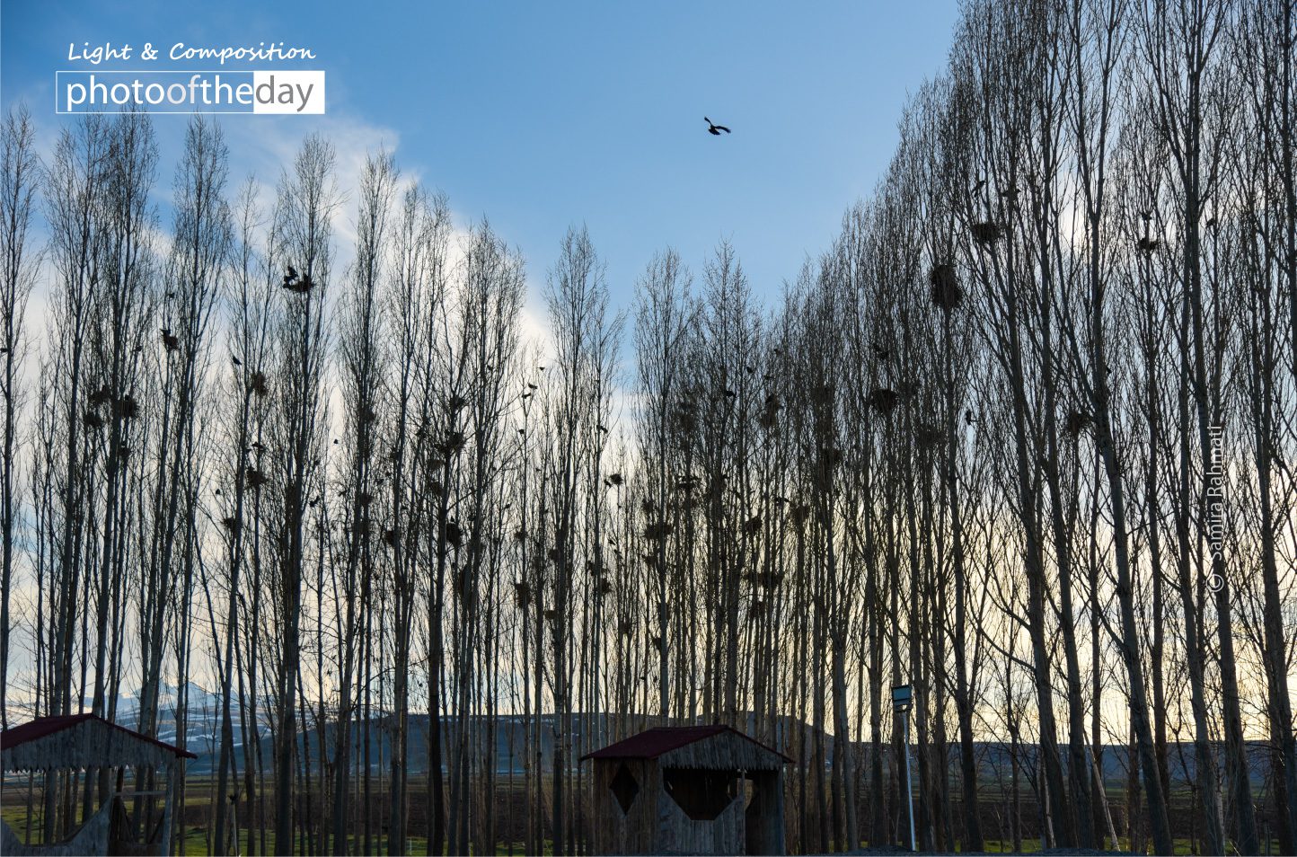 Home by Samira Rahmati Home by Samira Rahmati - Photojournalism, Photography Awards, Photo of the Day, Art Photography, Online Photography Courses