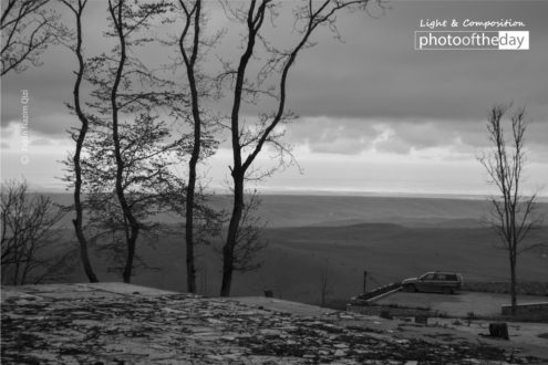 Trees and View by Fidan Nazim Qizi - Photo of the Day, Travel Photography, Photojournalism, Photography Awards, Light & Composition University