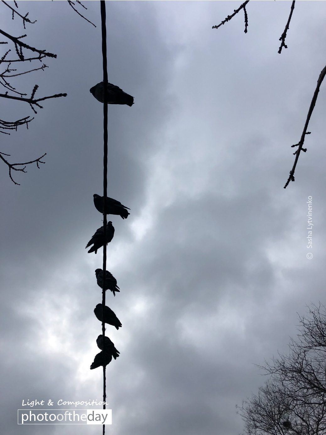 Photo of the day 12072019 1n