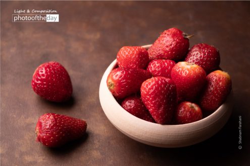 Spring Beauty by Shabnam Farahani - Art Photography, Photo of the Day, Spring Photography, Photography Awards, Online Photography Courses