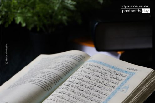 Keep Calm and Read by Hanan AboRegela - Art Photography, Photo of the Day, Photography Awards, Online Photography Courses, Islamic Photography