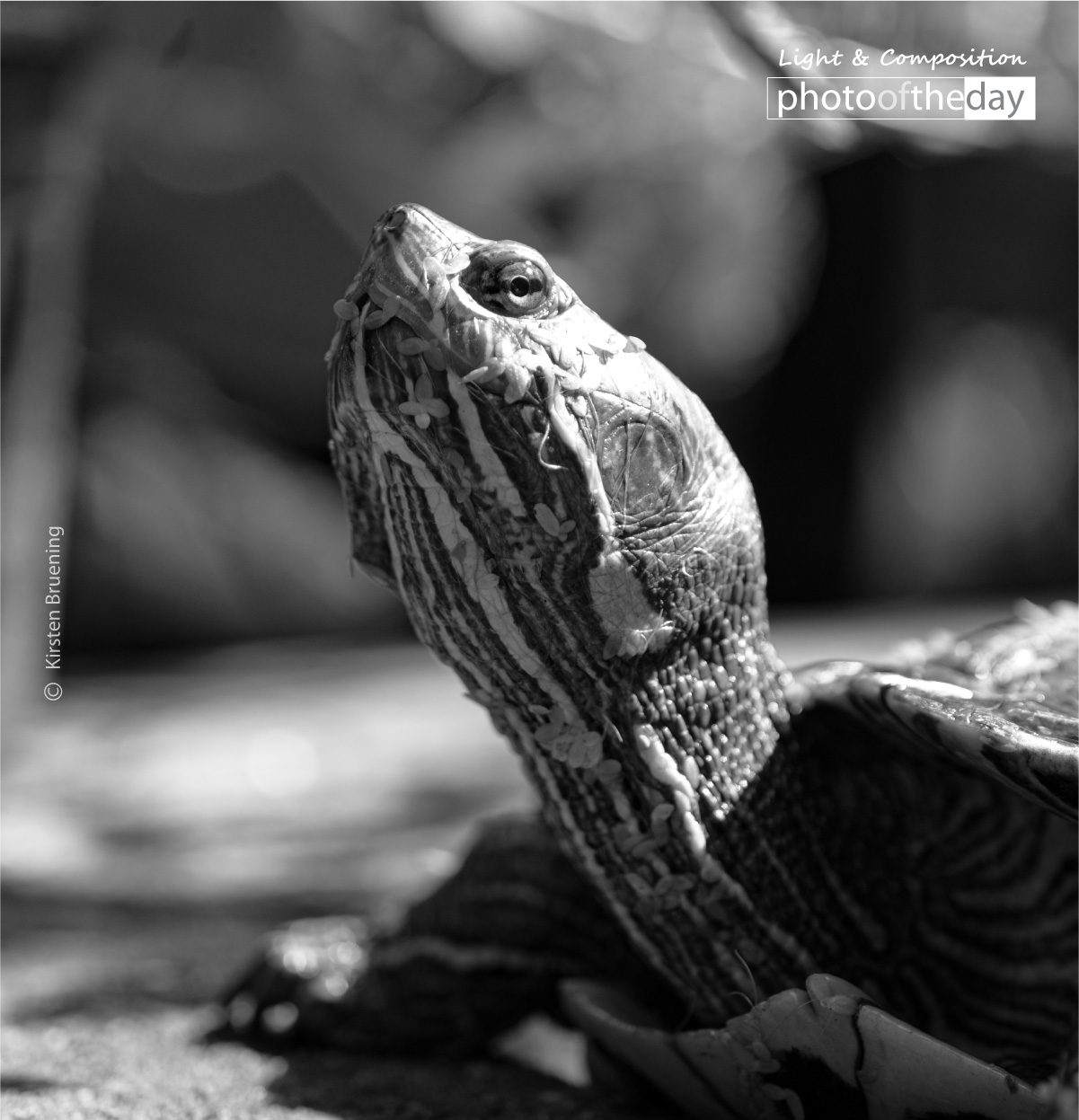 Photo of the day 18072019 1n