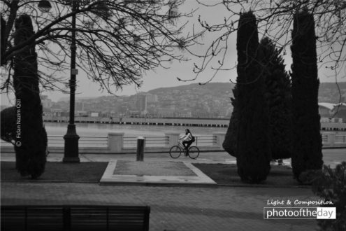 Baku Boulevard by Fidan Nazim Qizi - Photojournalism, Photography Awards, Photo of the Day, Black and White Photography, Art Photography