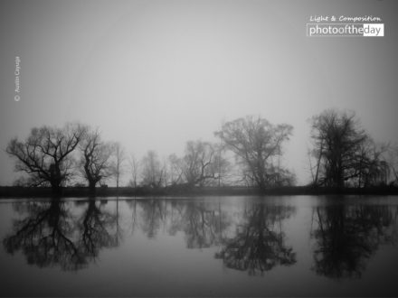 Reflections by Austin Cayuga - Reflections, Photo of the Day, Art Photography, Photography Awards, Online Photography Courses