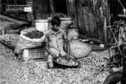 Looking for Livelihood by Sammam Junaid - Photojournalism, Child Labor Photography, Award Winning Photography, Documentary Photography, Photography Awards