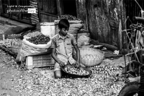 Looking for Livelihood by Sammam Junaid - Photojournalism, Child Labor Photography, Award Winning Photography, Documentary Photography, Photography Awards