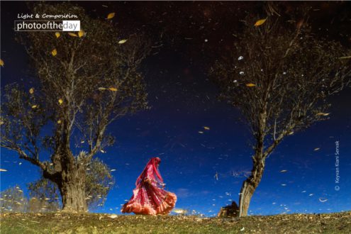 Wind Dance by Keyvan Kiani Servak - Photojournalism, Documentary Photography, Award Winning Photography, Photo of the Day, Light & Composition University