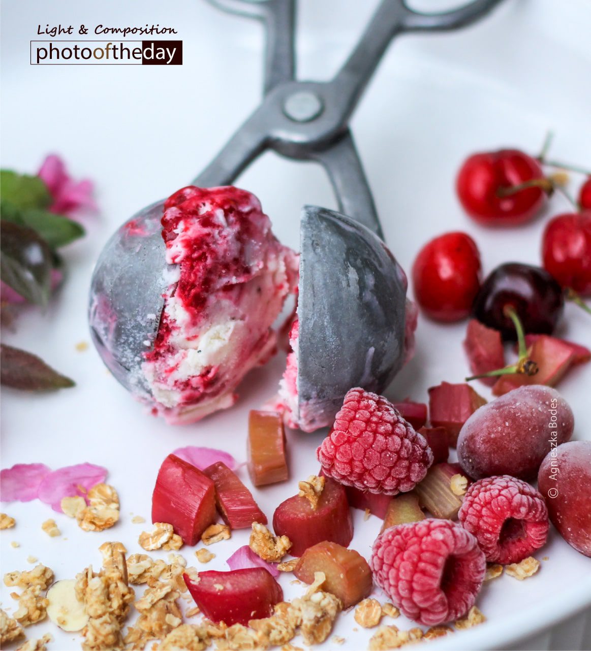 Photo of the day 03112019 1n