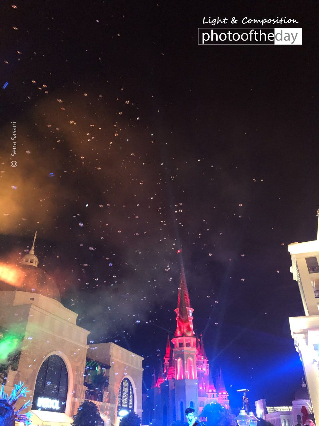 Photo of the day 04122019 2n