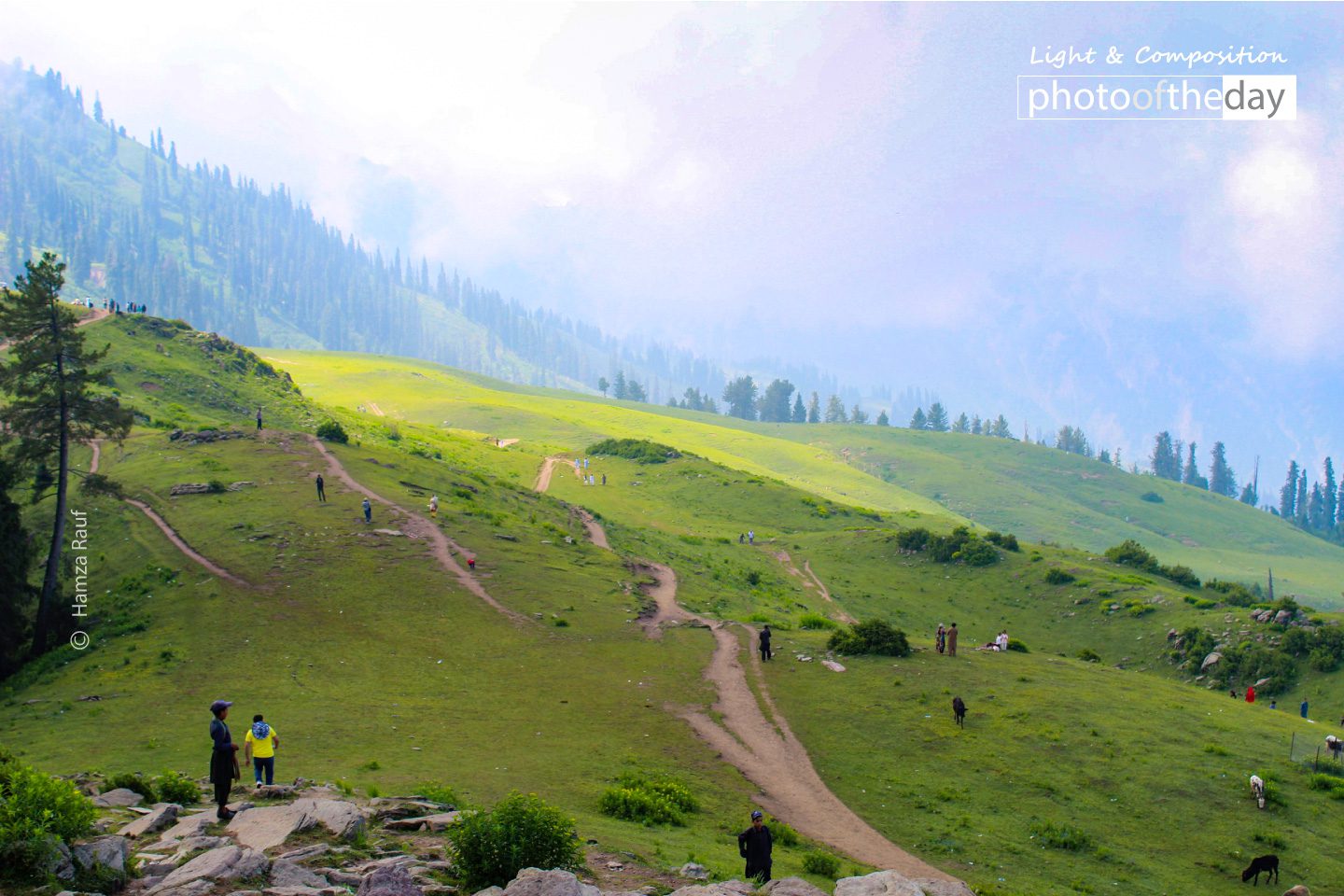 Nature by Hamza Rauf - Nature Photography, Landscape Photography, Photography Awards, Photo of the Day, Online Photography Courses