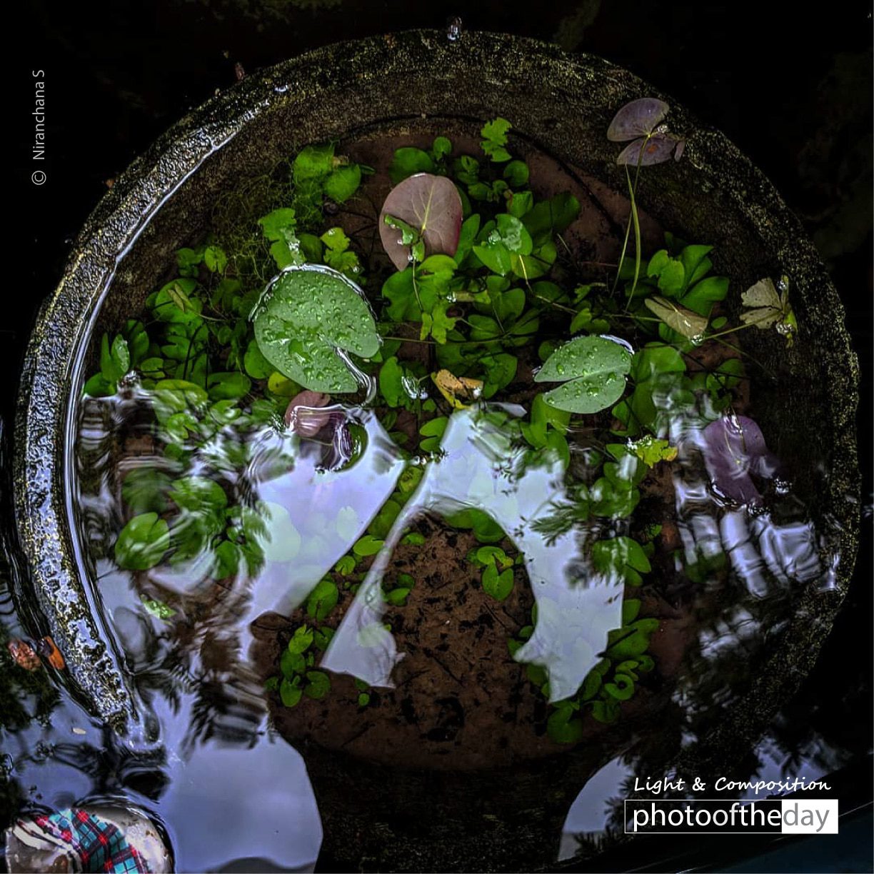 Photo of the day 10102019 1n