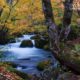 Stream of Autumn by Hanks Tseng Stream of Autumn by Hanks Tseng - Landscape Photography, Autumn Photography, Photo of the Day, Photography Awards, Light & Composition University