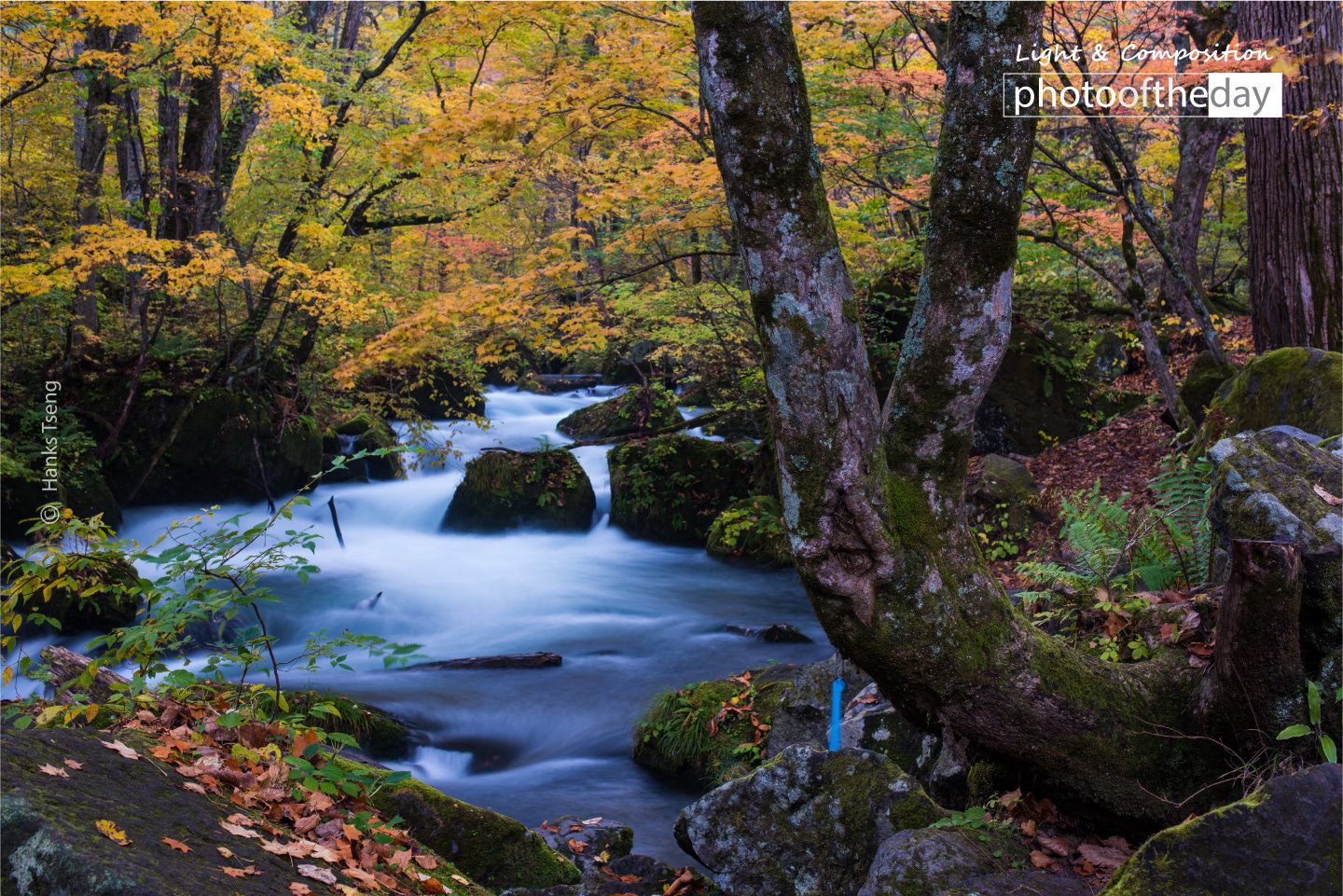 Stream of Autumn by Hanks Tseng Stream of Autumn by Hanks Tseng - Landscape Photography, Autumn Photography, Photo of the Day, Photography Awards, Light & Composition University