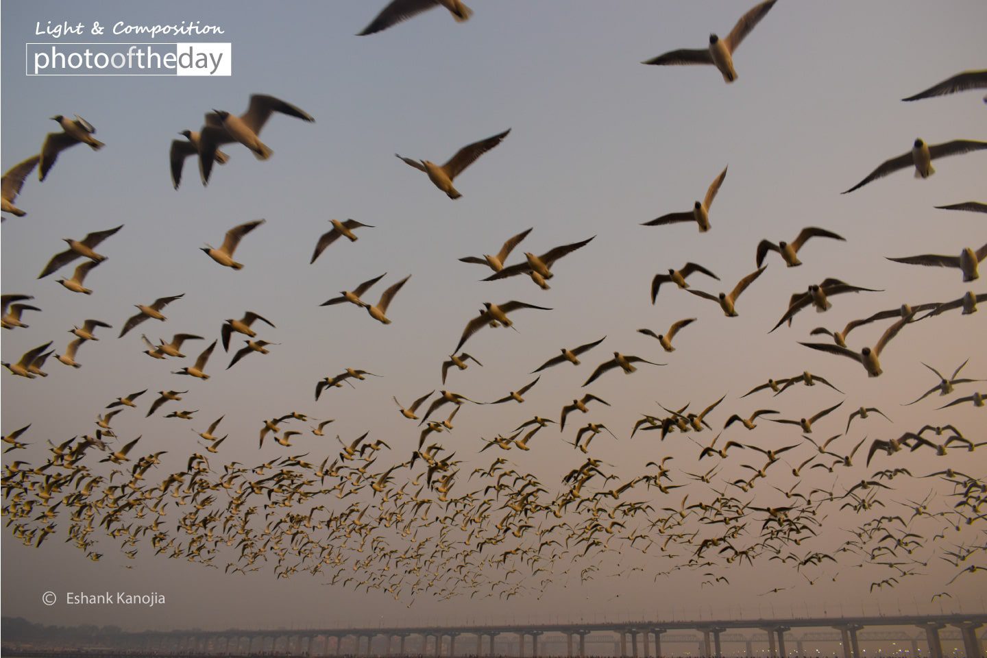 Kumbh Mela by Eshank Kanojia Photo of the day 21122019 1n