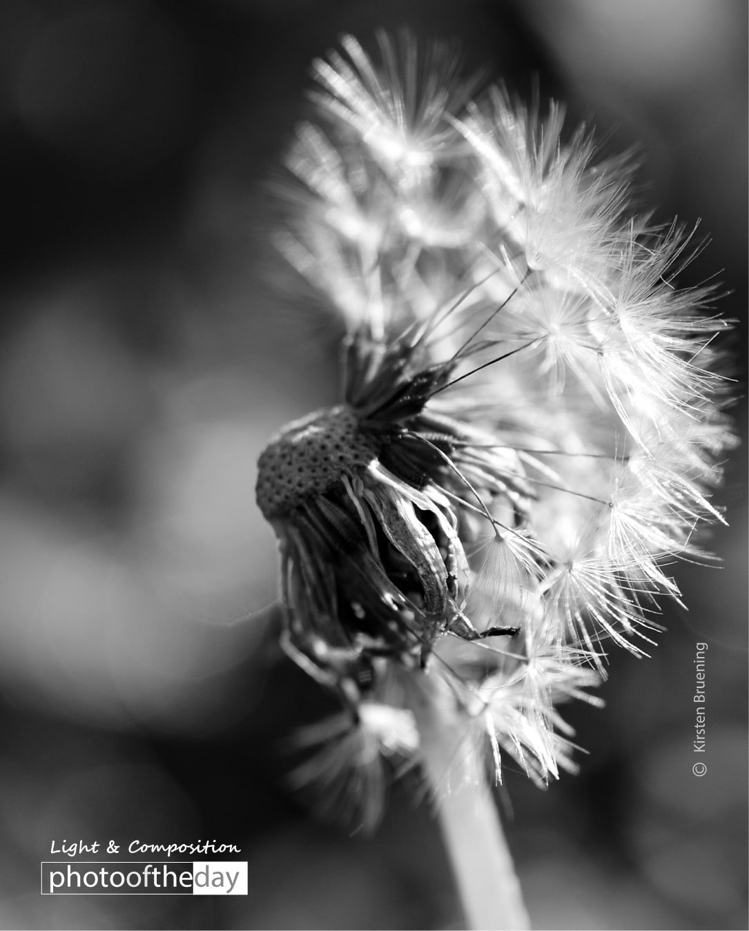 Photo of the day 22102019 1n