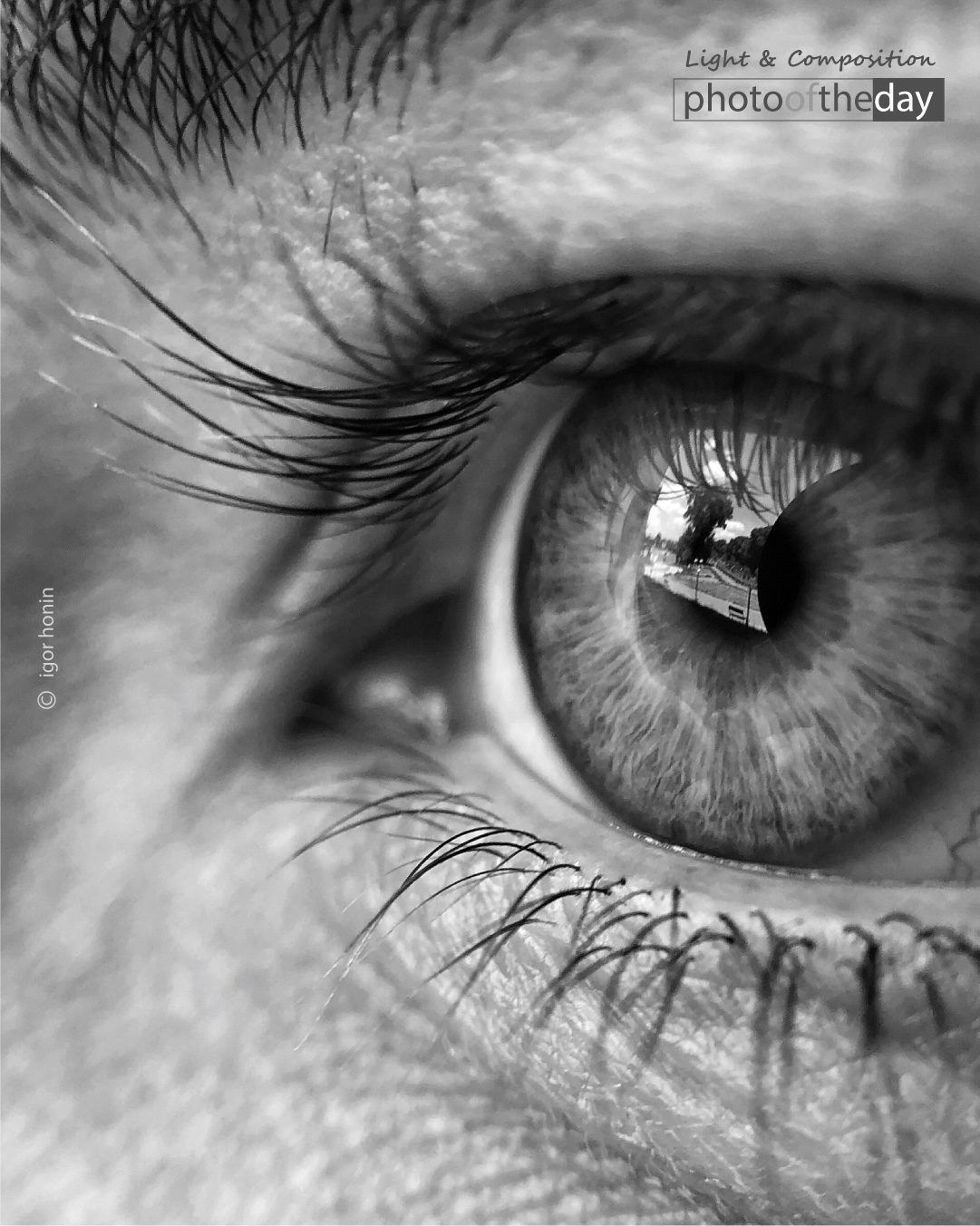 Photo of the day 25102019 1n