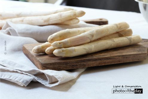 In the Countryside of Veneto by Joss Linde - Photography Awards, Photo of the Day, Landscape Photography, Art Photography, Online Photography Courses