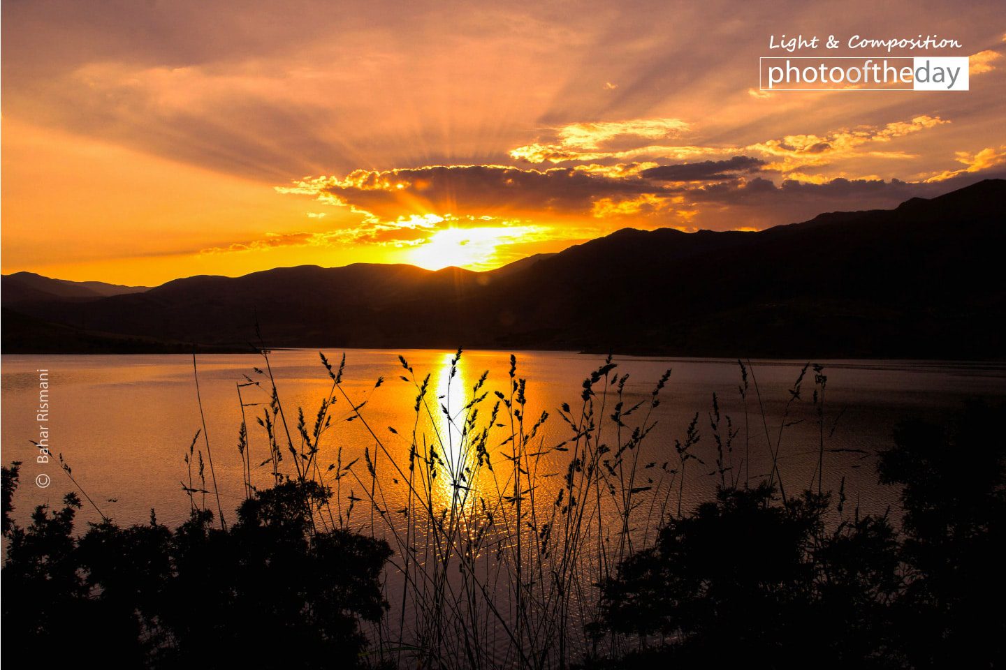 Photo of the day 11082019 2n