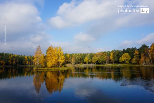 Urban Nature by Marianne Vahl - Nature Photography, Photo of the Day, Photography Awards, Art Photography, Online Photography Courses