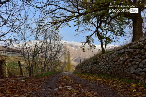 Fall Sense by Moslem Azimi - Nature Photography, Photography Awards, Photo of the Day, Art Photography, Online Photography Courses
