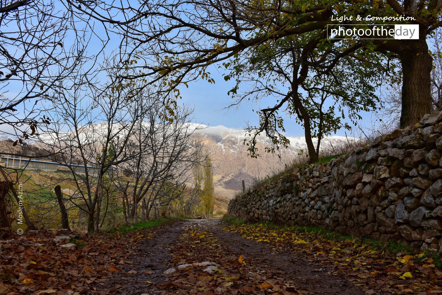 Fall Sense by Moslem Azimi - Nature Photography, Photography Awards, Photo of the Day, Art Photography, Online Photography Courses