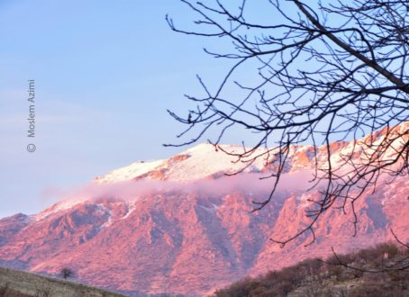 Seasons Union by Moslem Azimi - Nature Photography, Award Winning Photography, Photo of the Day, Photography Awards, Online Photography Courses