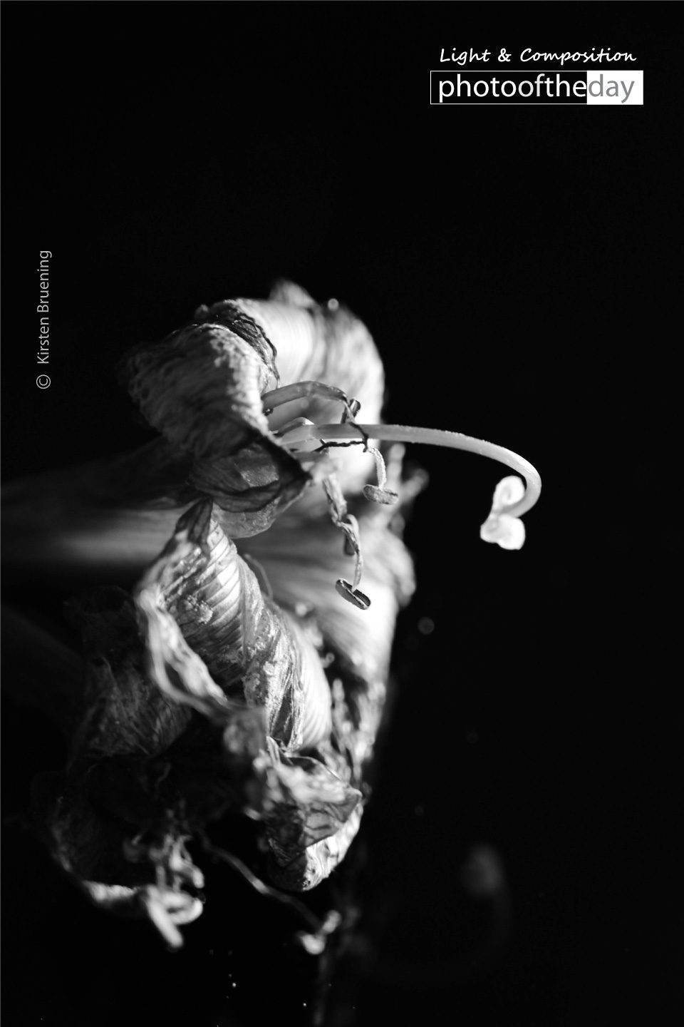 Photo of the day 12052020 2n