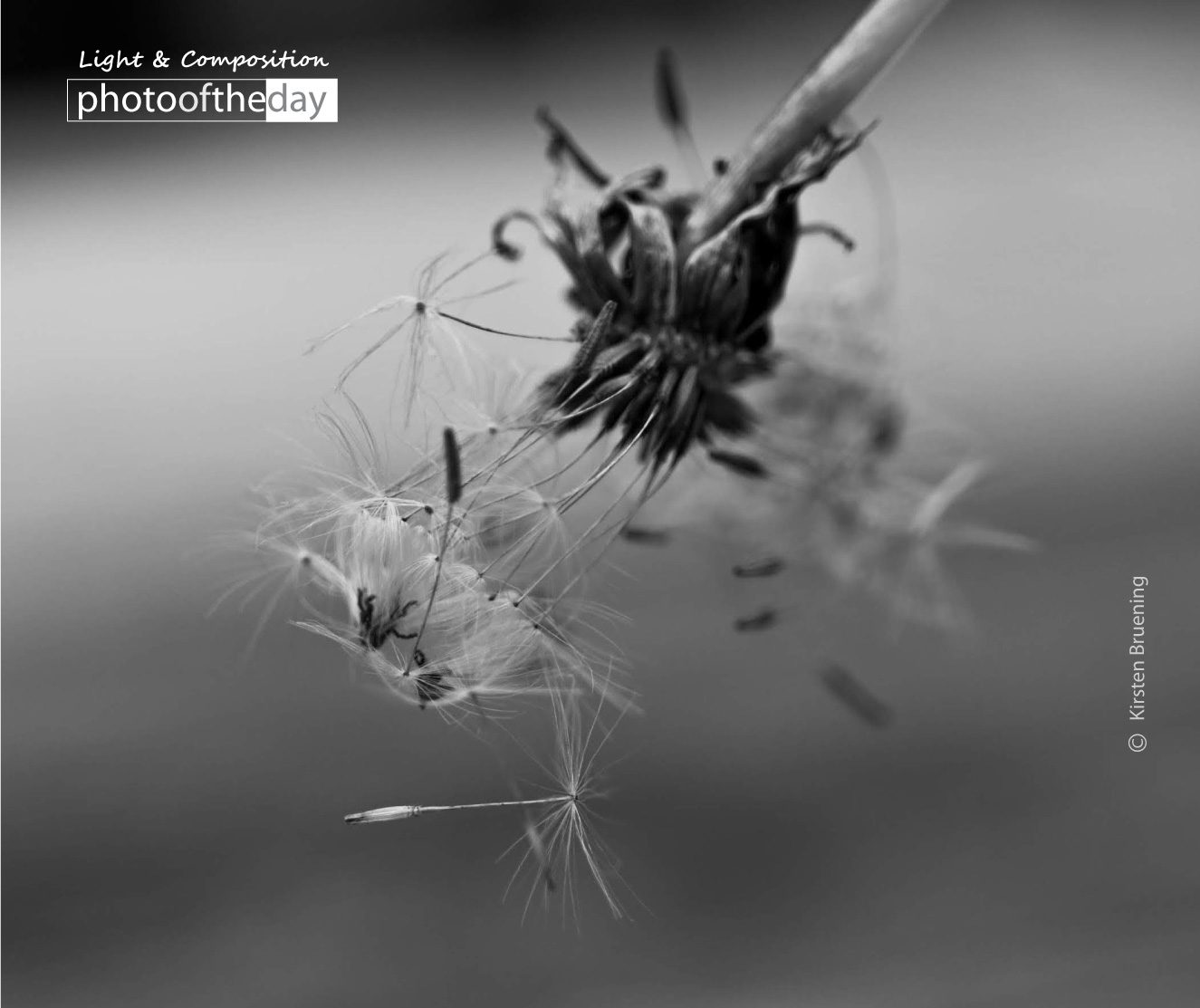 Fairy Tales by Kirsten Bruening Photo of the day 14052020 2n