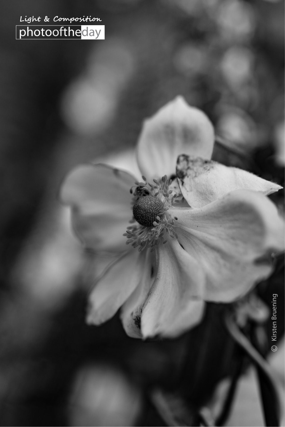 Memories by Kirsten Bruening Photo of the day 21032020 1n
