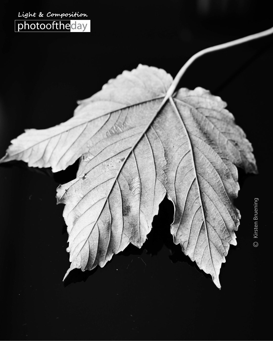 Autumn by Kirsten Bruening Photo of the day 23032020 1n