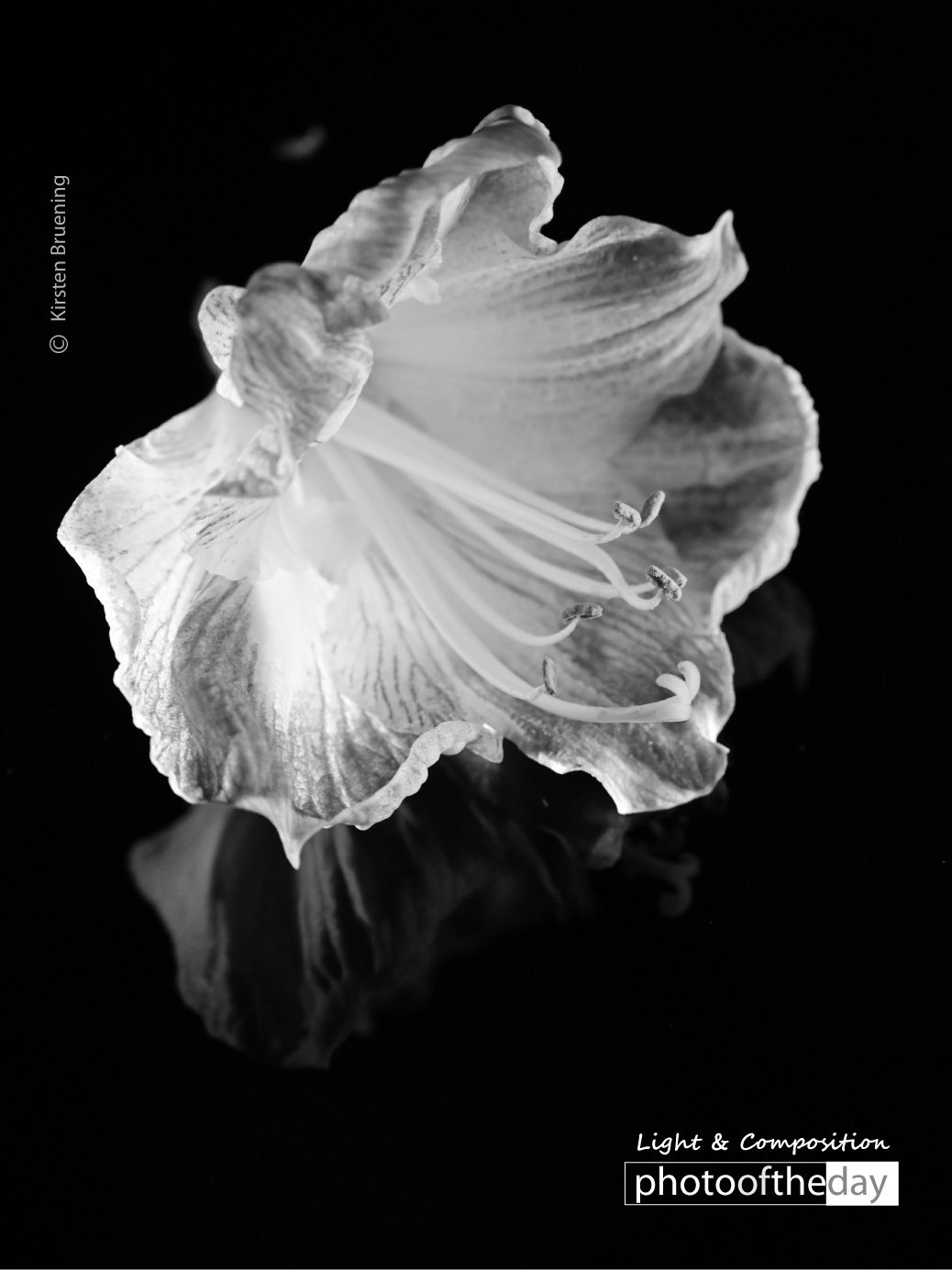 Beautiful Flowers by Kirsten Bruening Photo of the day 24042020 1n