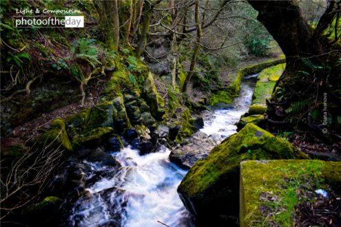 Waterfall in the Garden by Diana Ivanova - Nature Photography, Photography Awards, Photo of the Day, Art Photography, Online Photography Courses