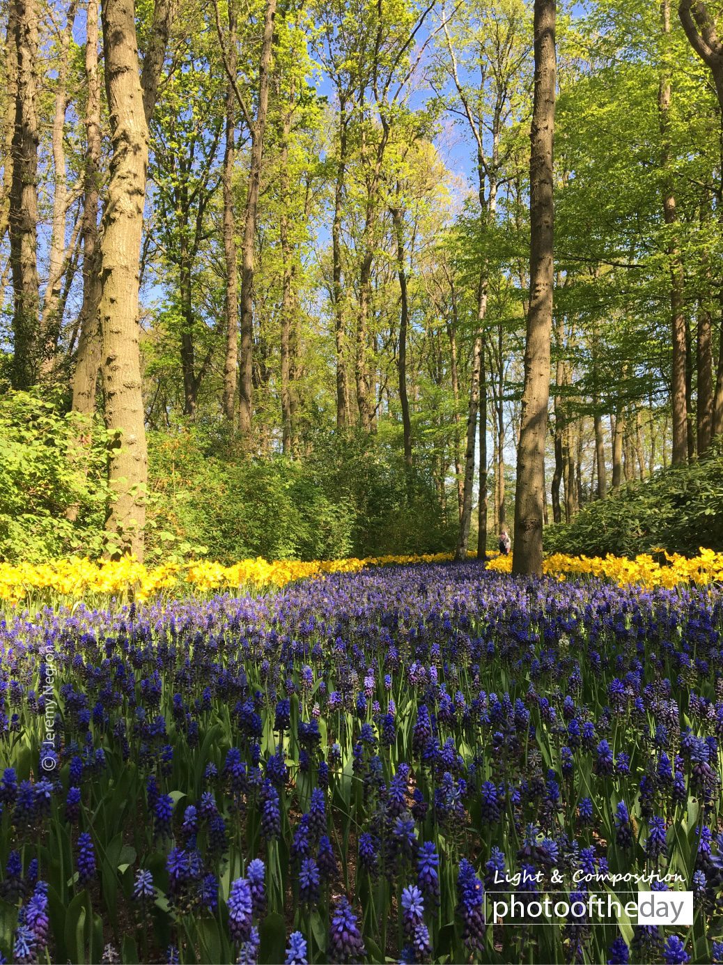 Photo of the day 16062020 1n