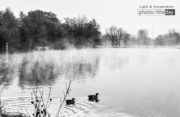 Black and White Photography, Photo of the Day, Photography Awards, Art Photography, Kirsten Bruening – Winter Dreams by Kirsten Bruening Winter Dreams by Kirsten Bruening - Black and White Photography, Photo of the Day, Photography Awards, Art Photography, Kirsten Bruening