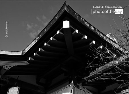 Hatsumode by Makiko Ono - Hatsumode, Architectural Photography, Photojournalism, Photography Awards, Photo of the Day