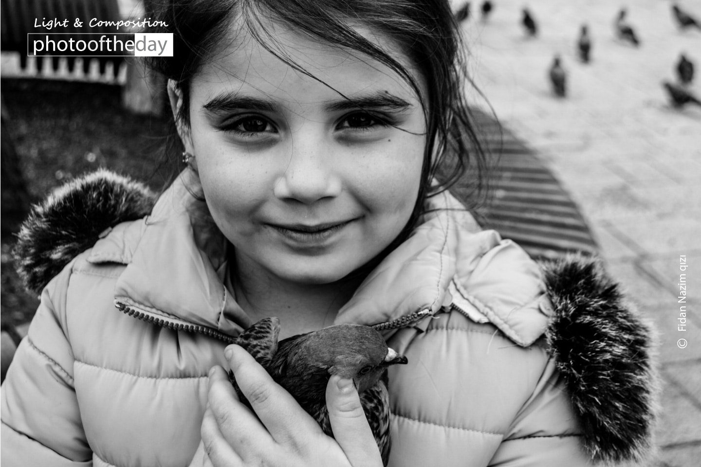 The Girl with a Pigeon by Fidan Nazim Qizi The Girl with a Pigeon by Fidan Nazim Qizi - Photojournalism, Street Photography, Award Winning Photography, Fidan Nazim Qizi, Photography Awards