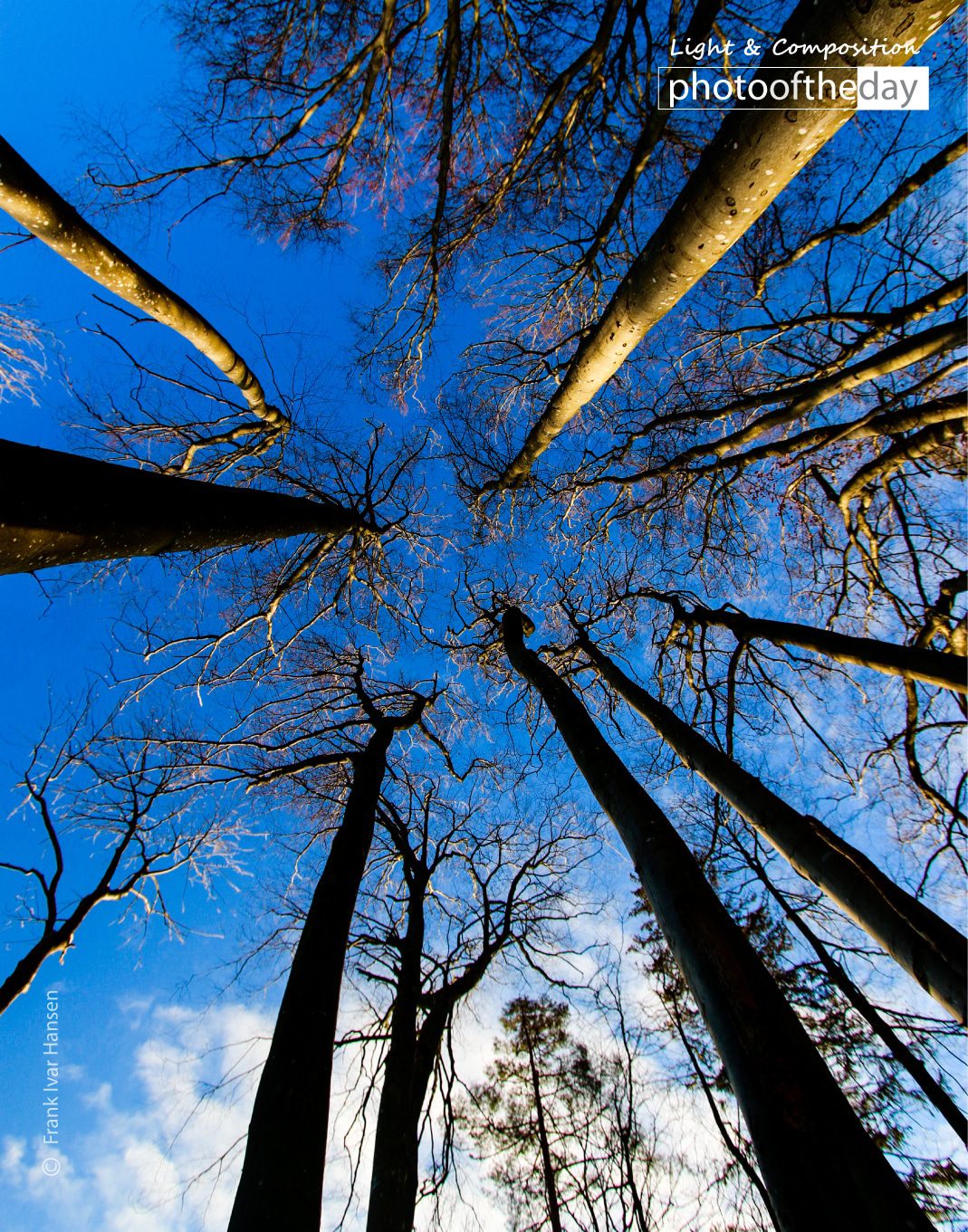 Photo of the day 31082020 1n