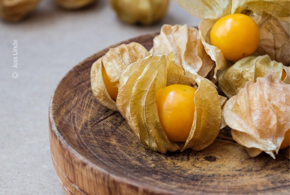 Autumn Days by Joss Linde - Photojournalism, Photography Awards, Art Photography, Food Photography, Online Photography Courses