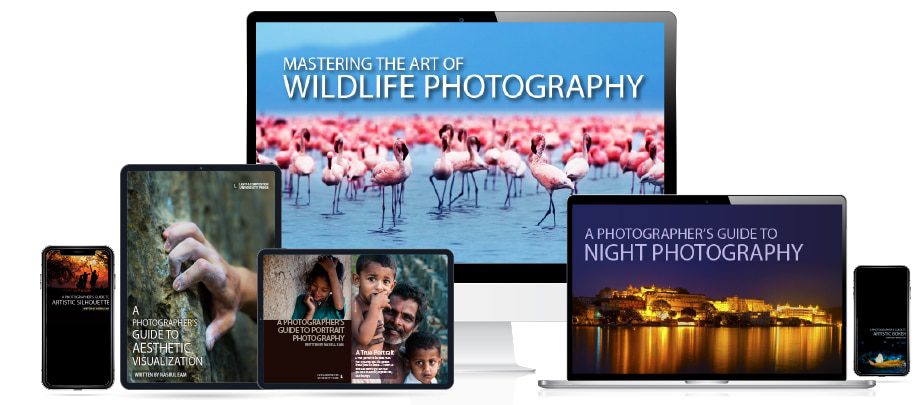 Most Prestigious Photography Award - The Most Prestigious Photography Award The Most Prestigious Photography Award - Most Prestigious Photography Award