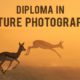 Diploma in Nature Photography - Nature Photography, Online Photography Courses, Photography Diploma, Wildlife Photography, Landscape Photography