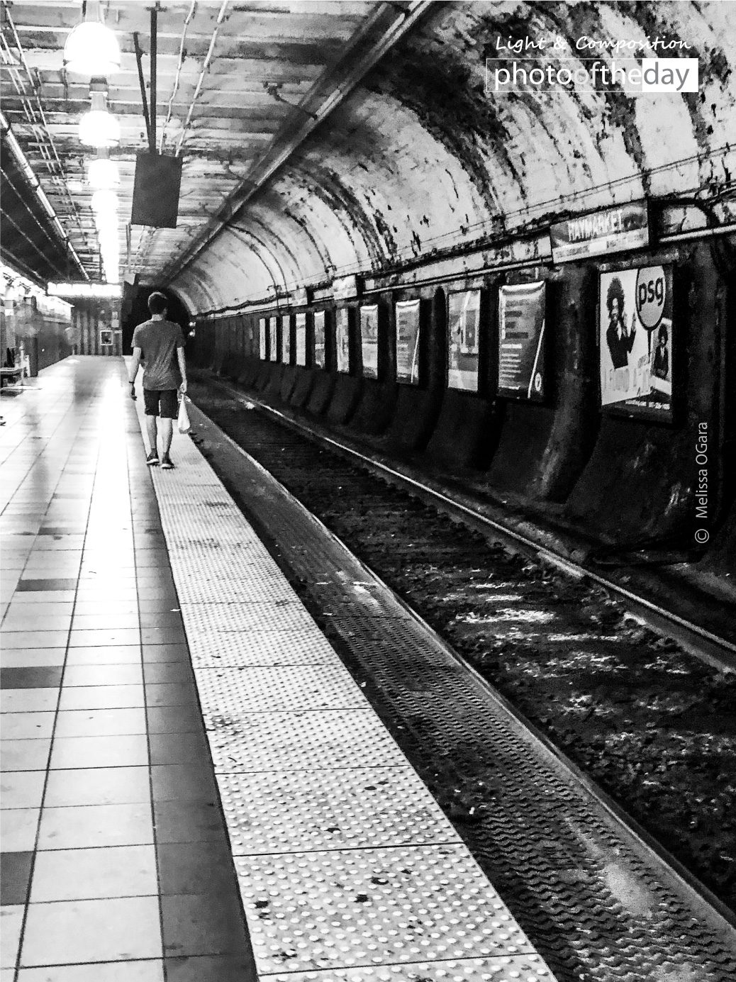 Life Underground by Melissa O’Gara Photo of the day 06102020 1n