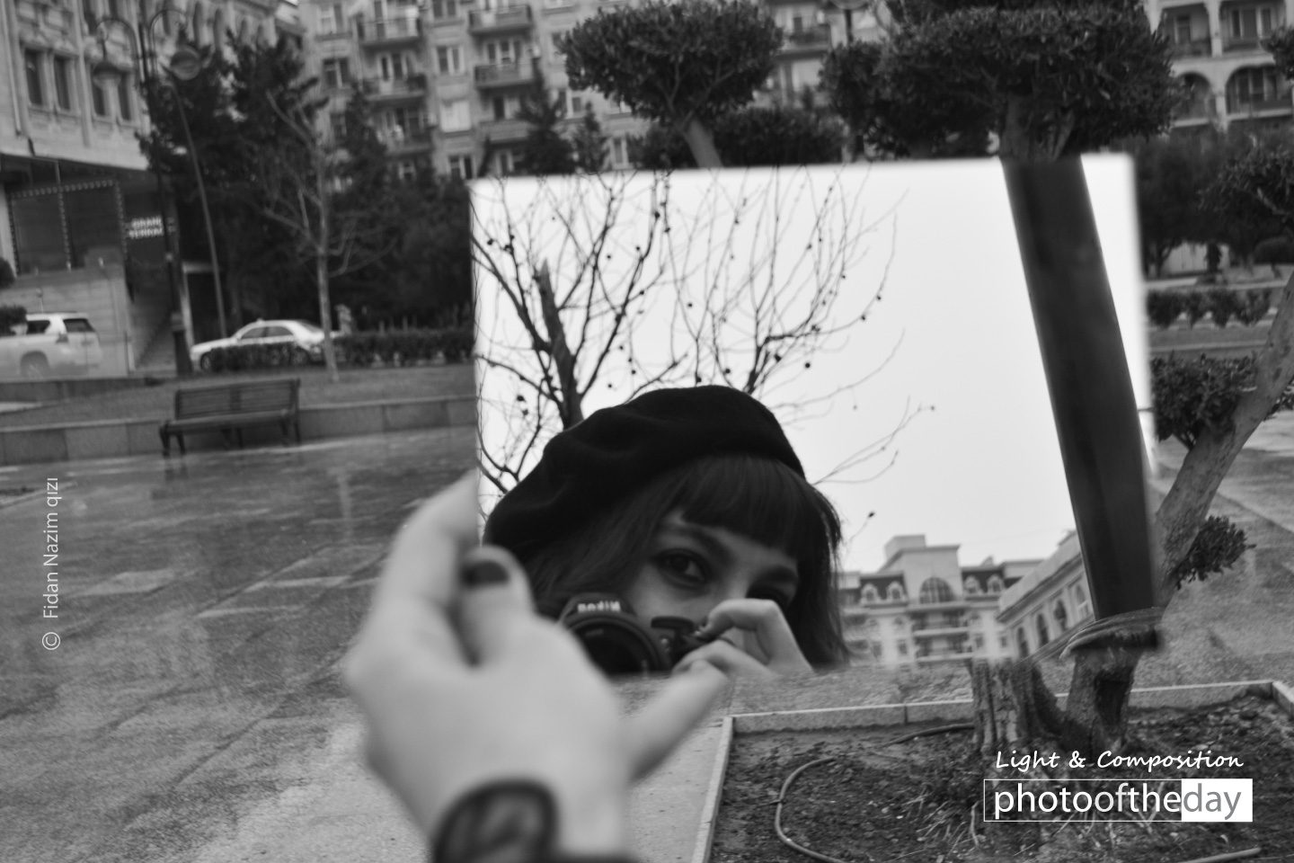 Photo of the day 12122020 1n