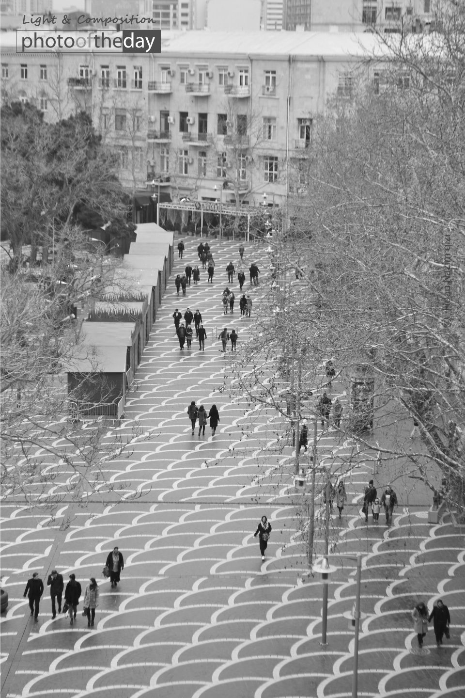 Photo of the day 15092020 1n