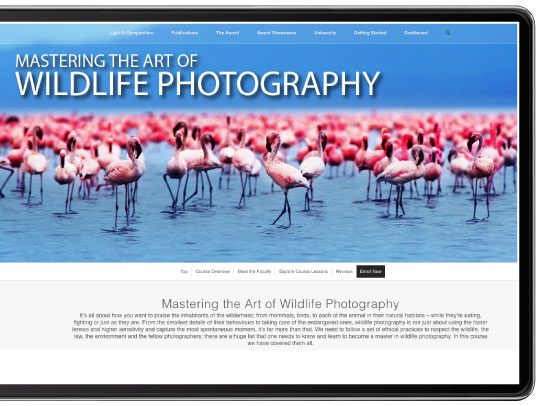 Nature Photography, Online Photography Courses, Photography Diploma, Wildlife Photography, Landscape Photography - Diploma in Nature Photography Diploma in Nature Photography - Nature Photography, Online Photography Courses, Photography Diploma, Wildlife Photography, Landscape Photography