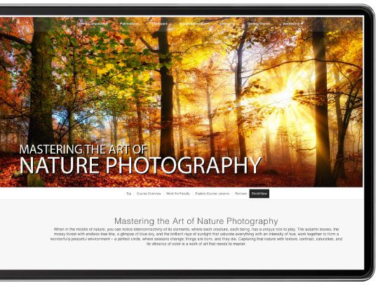 Nature Photography, Online Photography Courses, Photography Diploma, Wildlife Photography, Landscape Photography - Diploma in Nature Photography Diploma in Nature Photography - Nature Photography, Online Photography Courses, Photography Diploma, Wildlife Photography, Landscape Photography